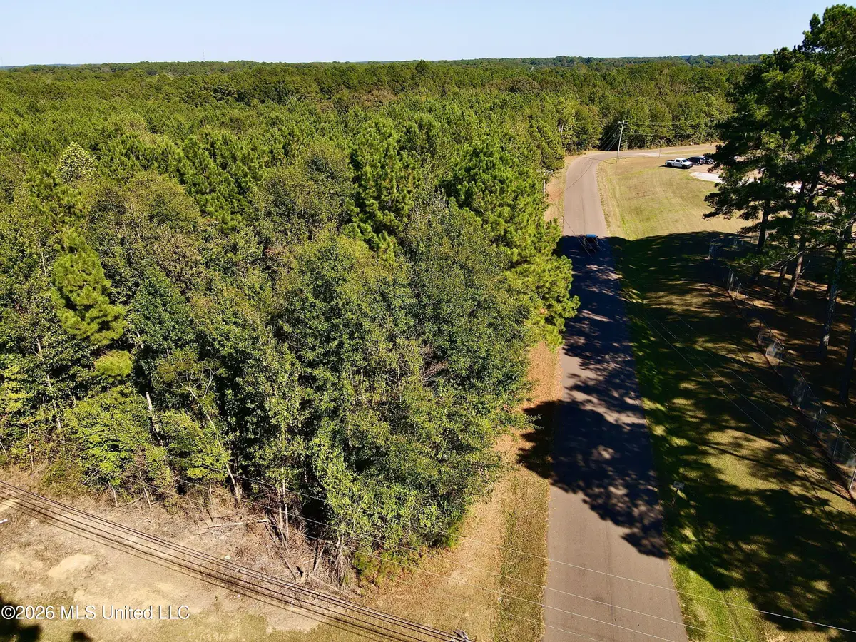 N Chestnut Street, Philadelphia, MS 39350 - #1