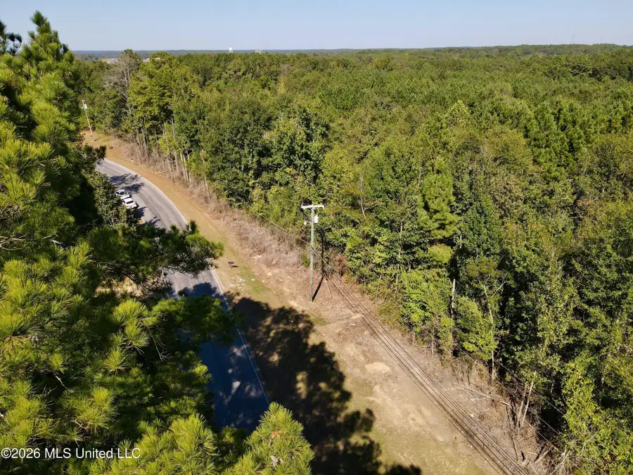 N Chestnut Street, Philadelphia, MS 39350 - #2