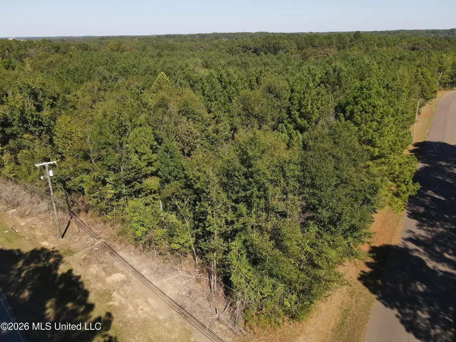N Chestnut Street, Philadelphia, MS 39350 - #3