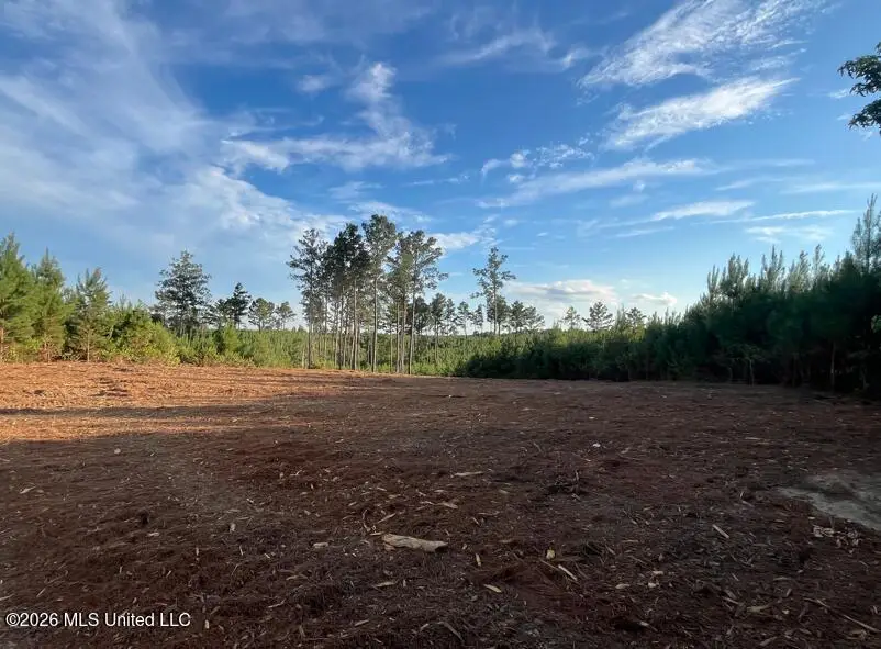 Ms-540, Harrisville, MS 39082 - #2