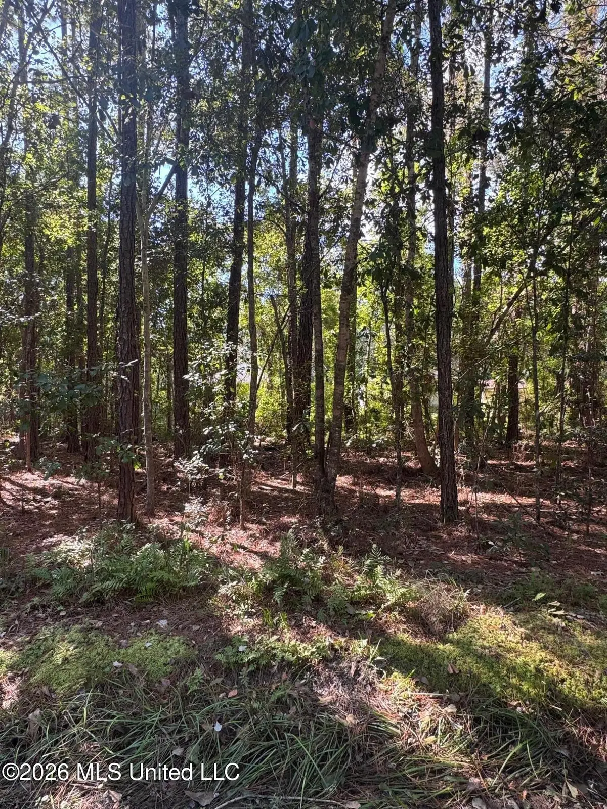 Tbd E Greene Street, Bay Saint Louis, MS 39520 - #1