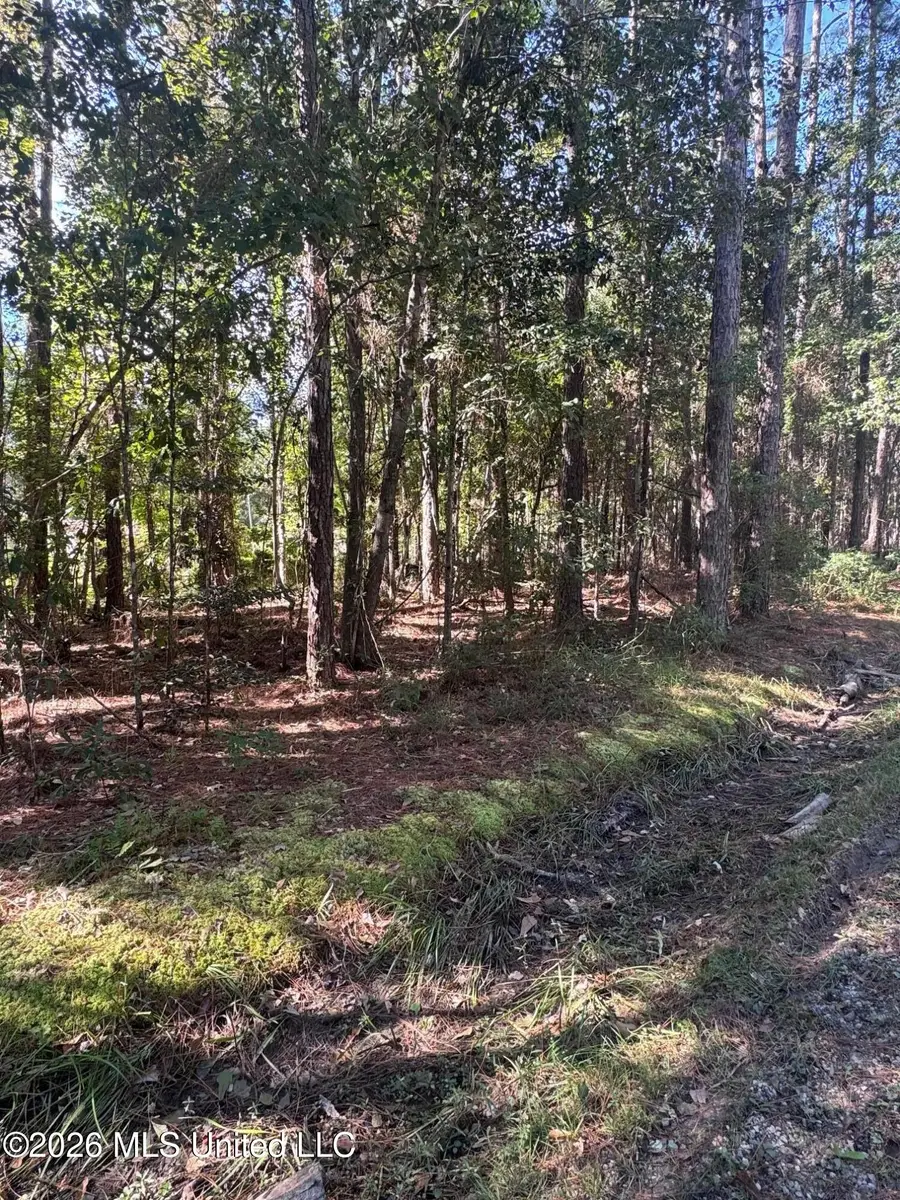 Tbd E Greene Street, Bay Saint Louis, MS 39520 - #2