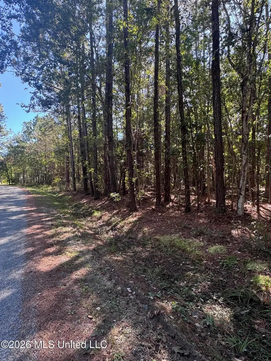 Tbd E Greene Street, Bay Saint Louis, MS 39520 - #3