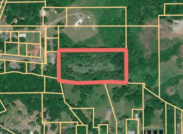 Boykin Street, Morton, MS 39117