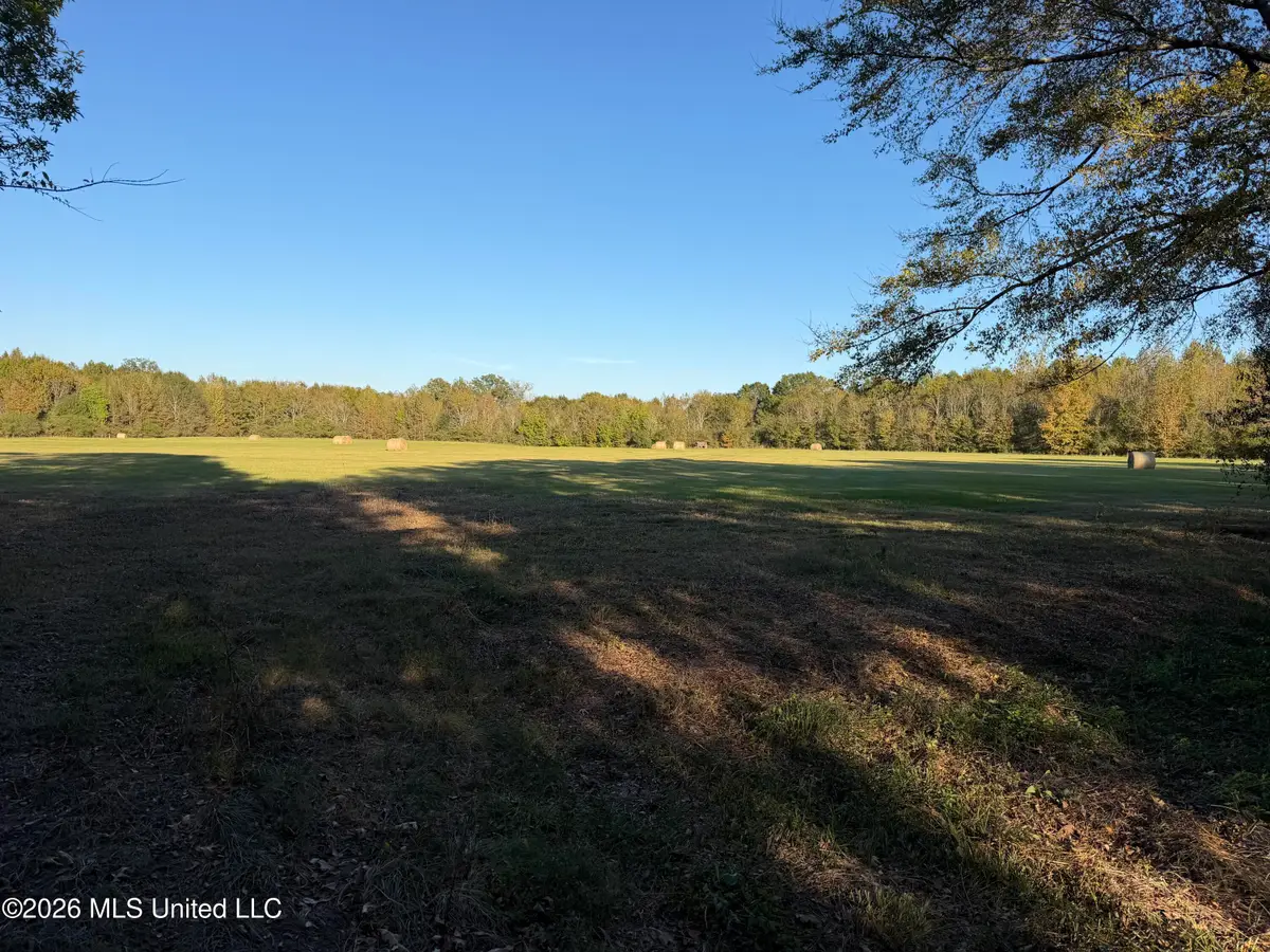 Lawrence Hazel Road, Lawrence, MS 39336 - #1