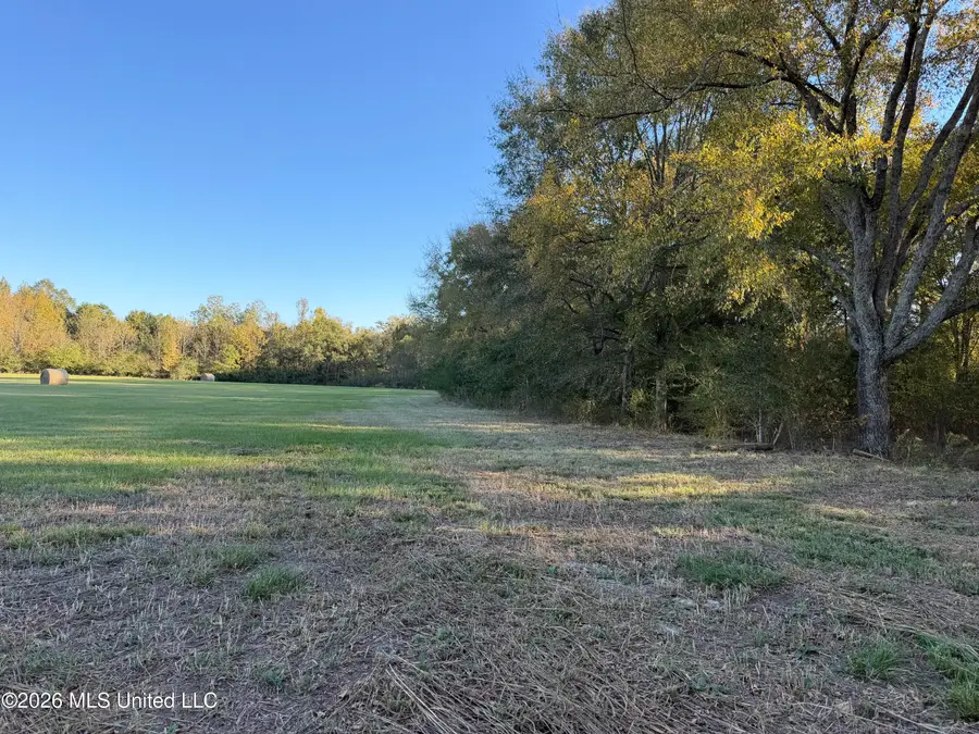 Lawrence Hazel Road, Lawrence, MS 39336 - #2