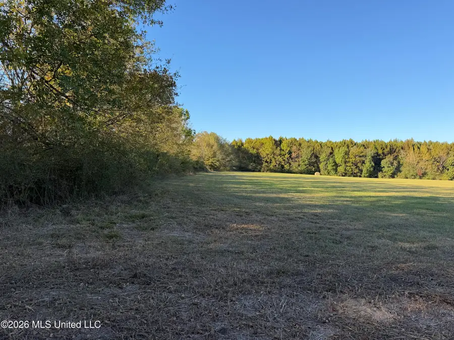 Lawrence Hazel Road, Lawrence, MS 39336 - #3