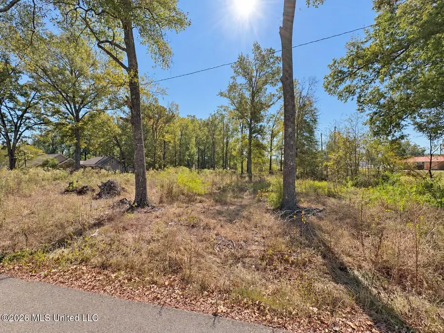 Nash Drive, Grenada, MS 38901 - #2