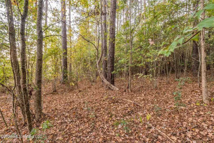 000 James Stanley Turnaround Road, Noxapater, MS 39346 - #2