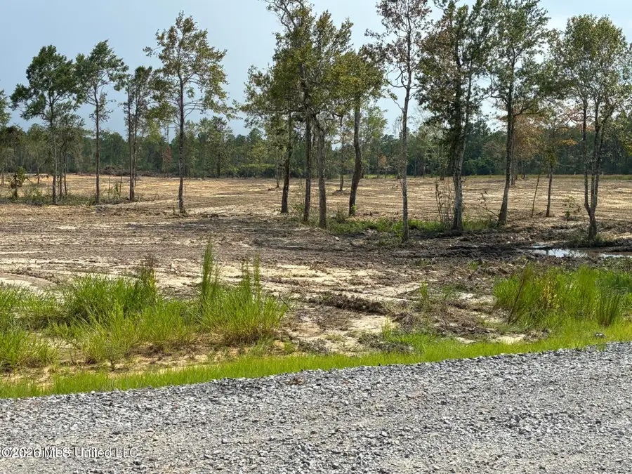 Parcel 2 Angelwood Drive, Kiln, MS 39556 - #3