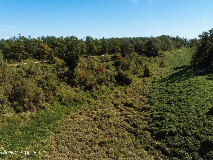 Stinson Road, Holly Springs, MS 38635 - #2