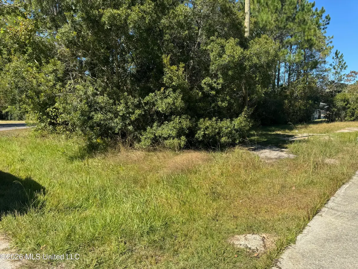 0 White Wood Drive, Gautier, MS 39553 - #1