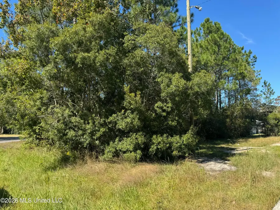 0 White Wood Drive, Gautier, MS 39553 - #3