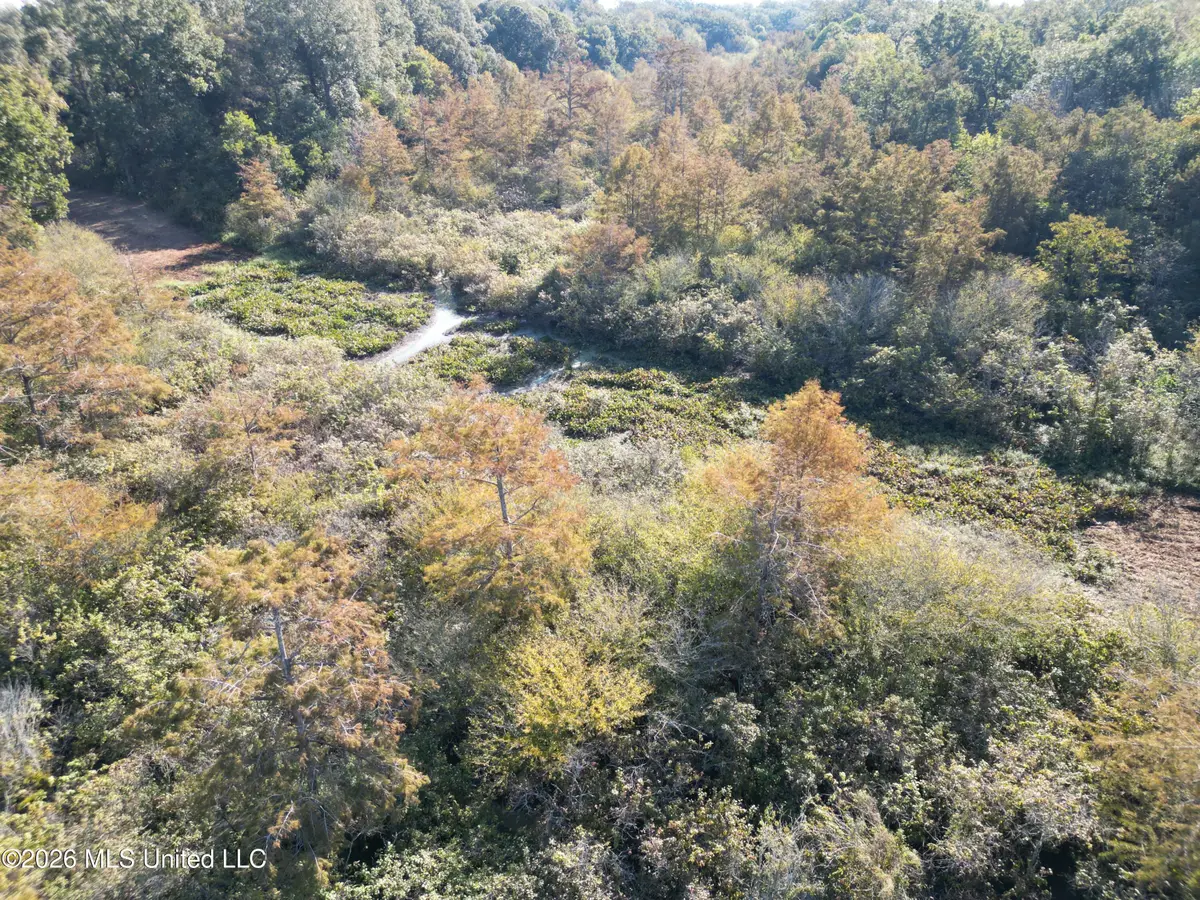 Prewitt Road, Shaw, MS 38773 - #1