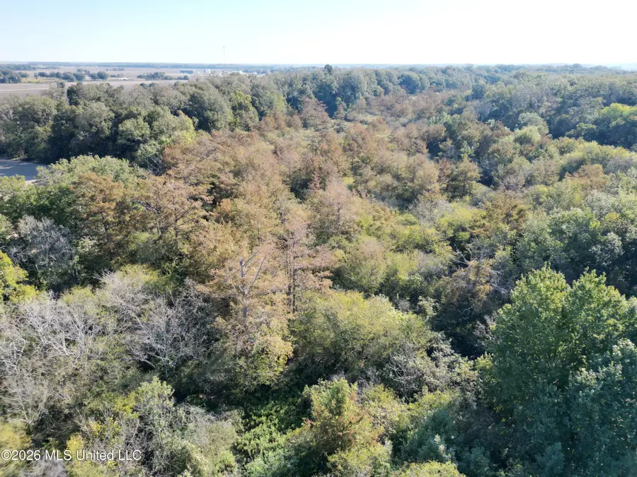 Prewitt Road, Shaw, MS 38773 - #2