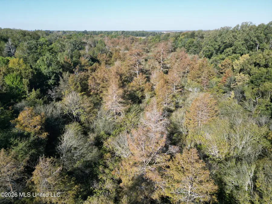Prewitt Road, Shaw, MS 38773 - #3