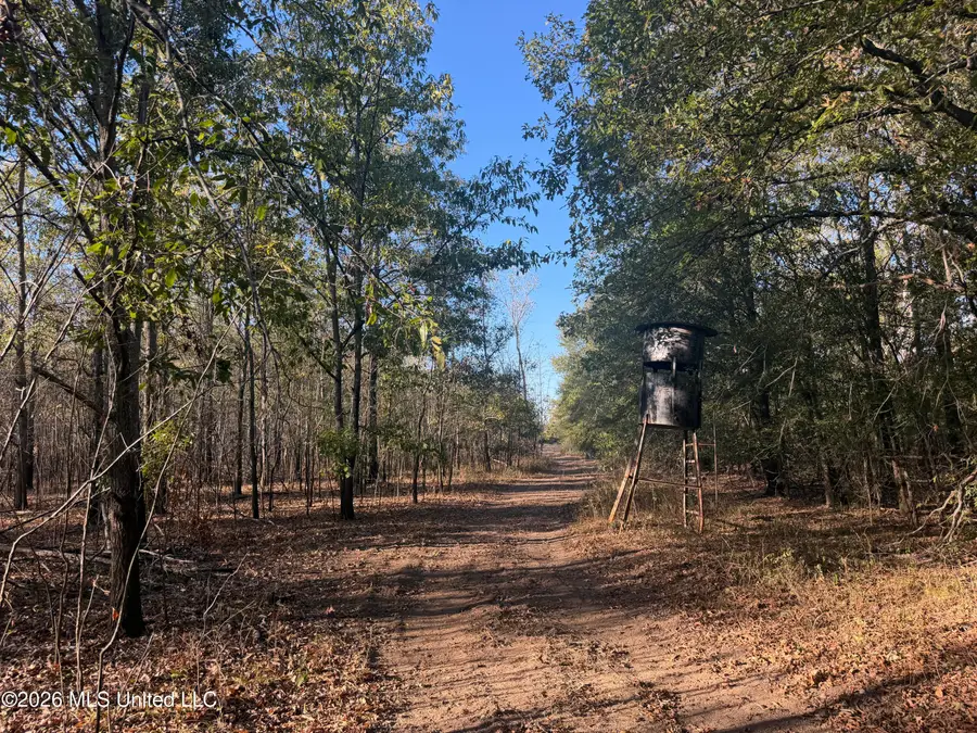 County Road 524, Sidon, MS 38954 - #2