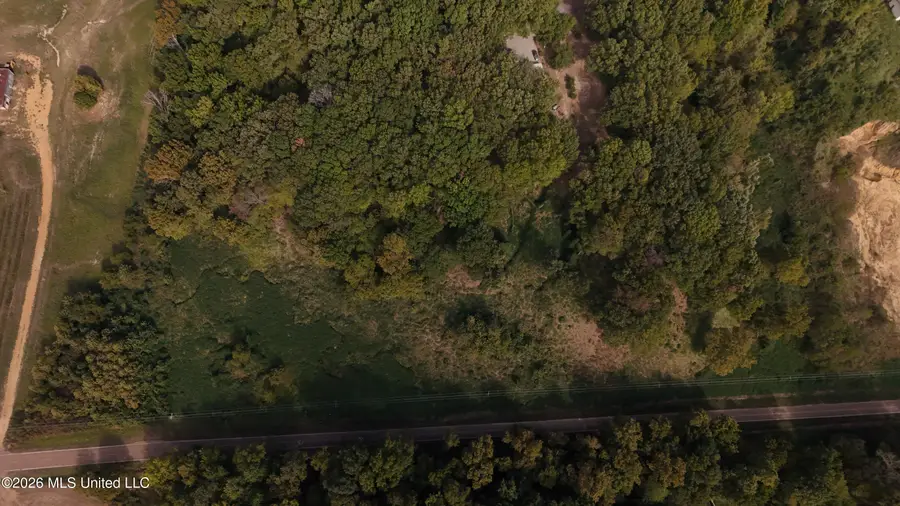Bluff Road, Hernando, MS 38632 - #2