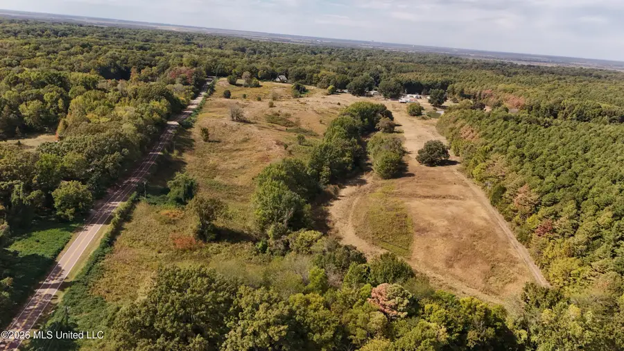 Bluff Road, Hernando, MS 38632 - #3