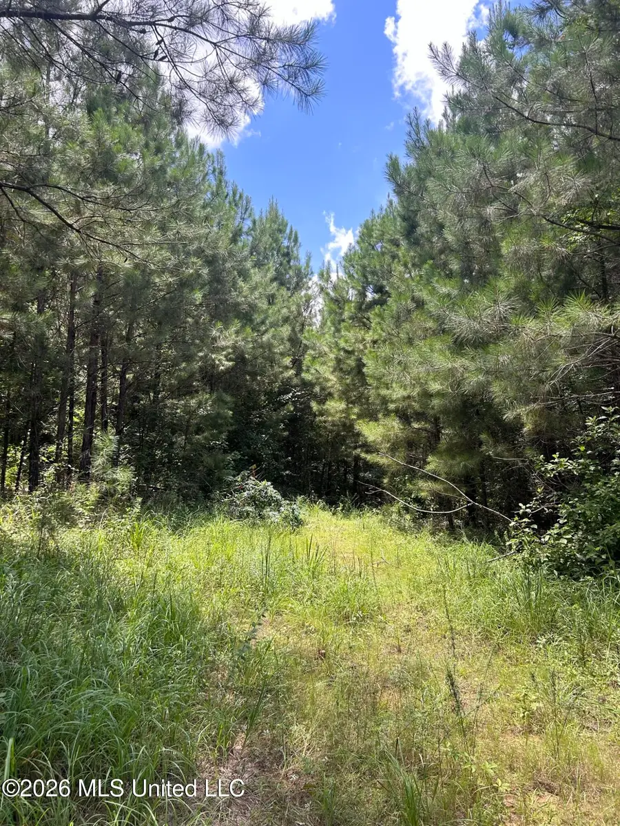 SW Tiger Trail, Brookhaven, MS 39601 - #3