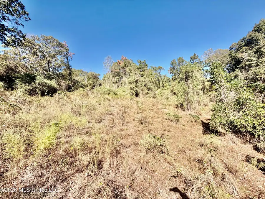 County Road 154, Coffeeville, MS 38922 - #2