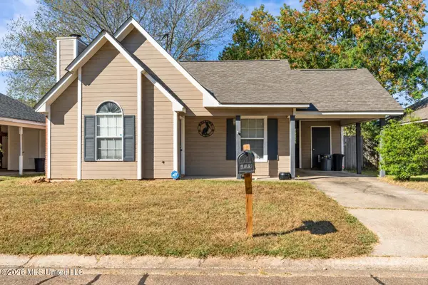 207 Falcon Cove, Brandon, MS 39047
