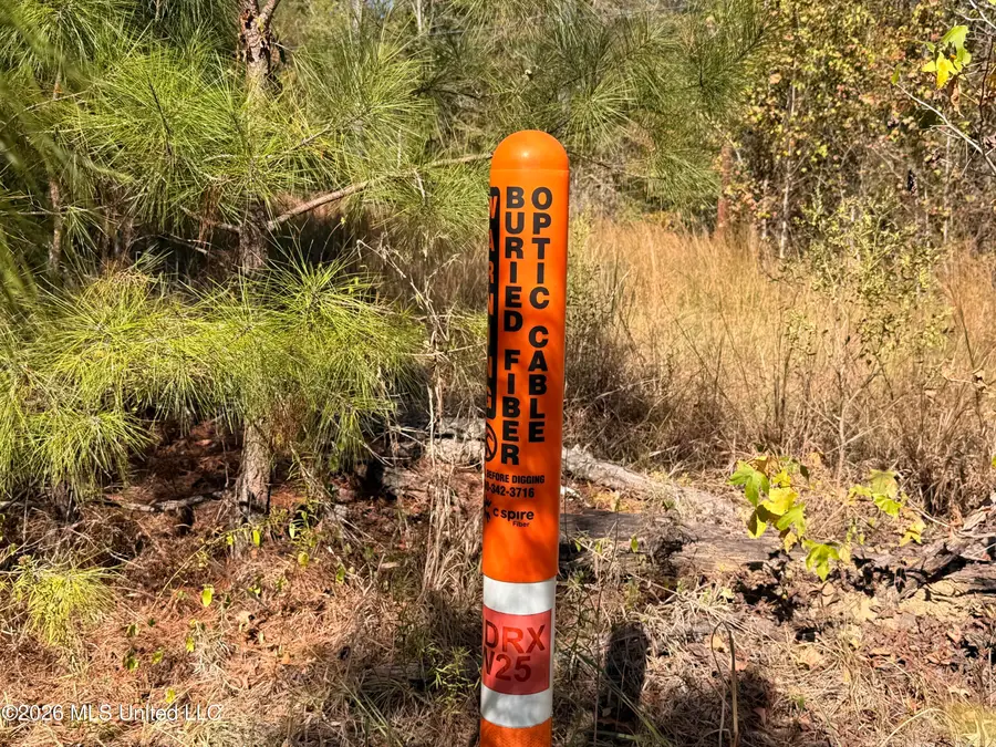 W Hwy 84, Roxie, MS 39661 - #2