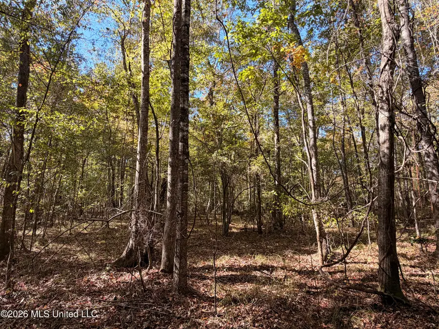 W Hwy 84, Roxie, MS 39661 - #3