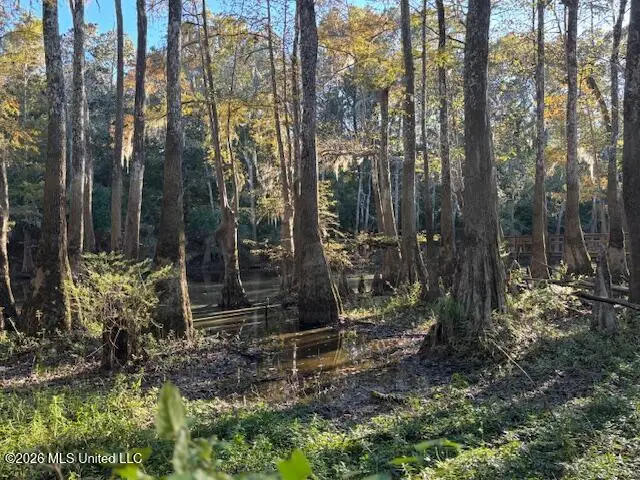 130 Lakeside Drive, Lucedale, MS 39452 - #3