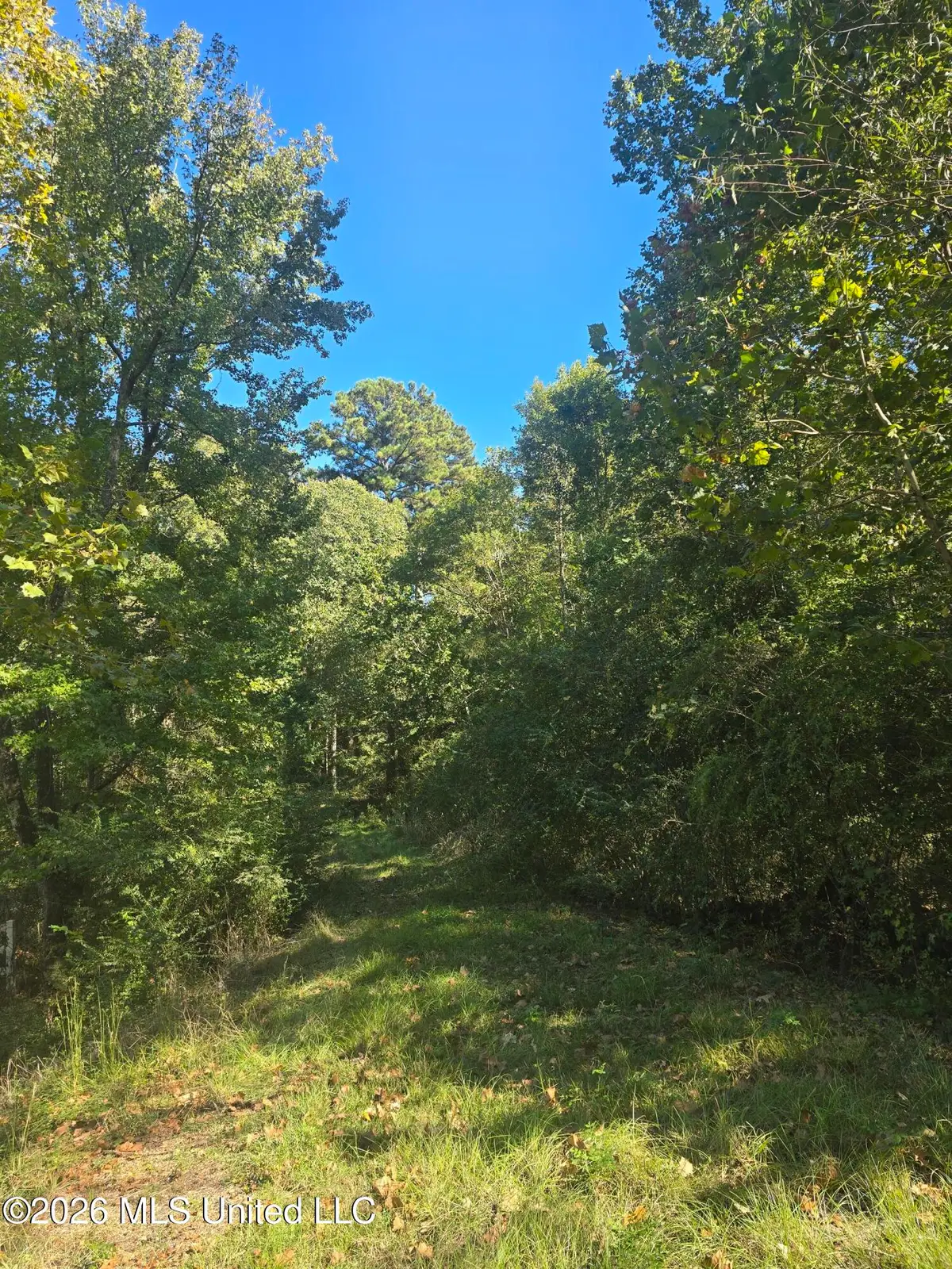 Mississippi 471, Brandon, MS 39047 - #1