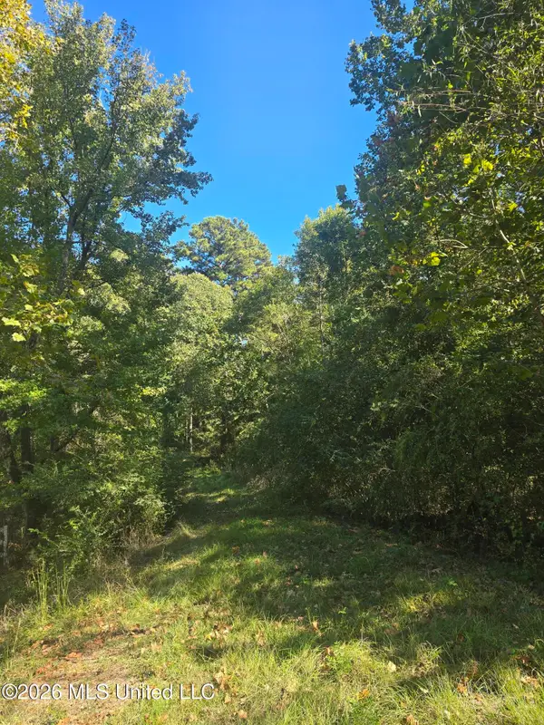 Mississippi 471, Brandon, MS 39047