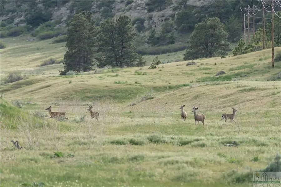 LOT 54 Timbers Boulevard S, Billings, MT 59105 - #2