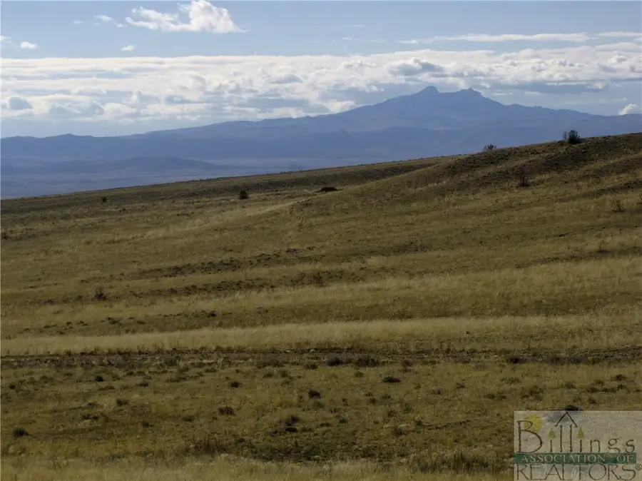 NHN Ruby Creek Road, Belfry, MT 59008 - #3