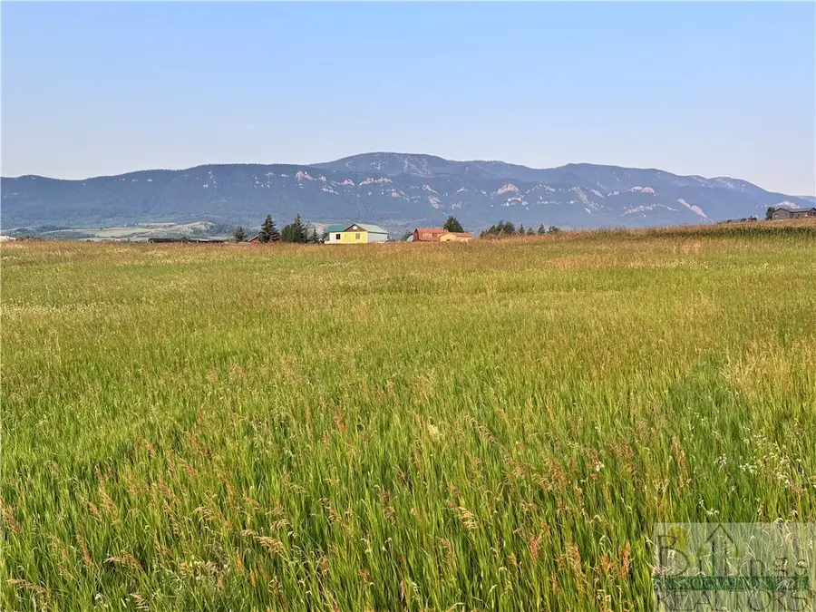 Lot 25 W Palisade Basin, Red Lodge, MT 59068 - #2