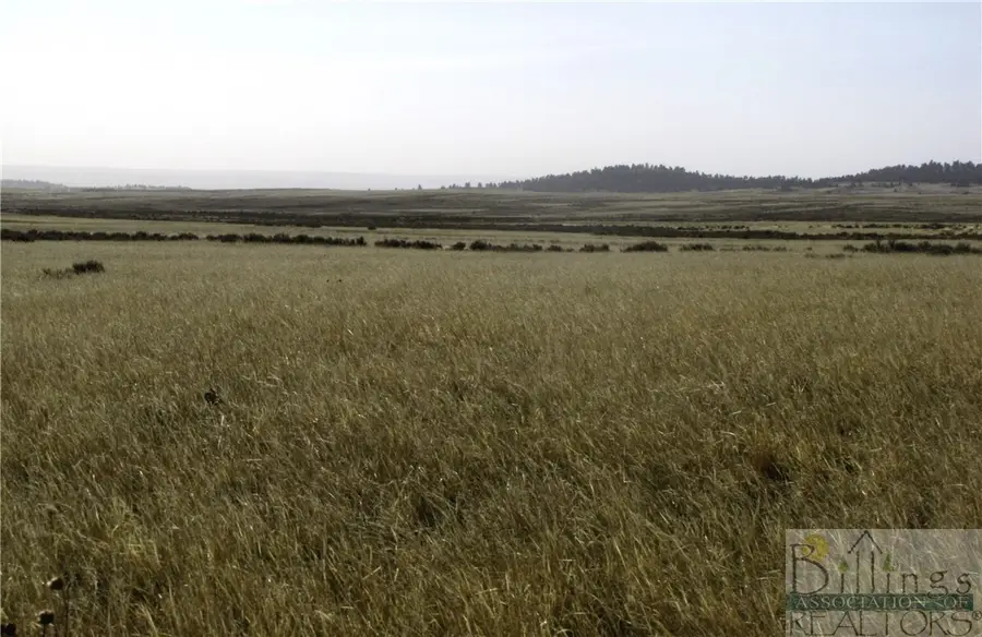NHN Lindstrom Road, Shepherd, MT 59079 - #2