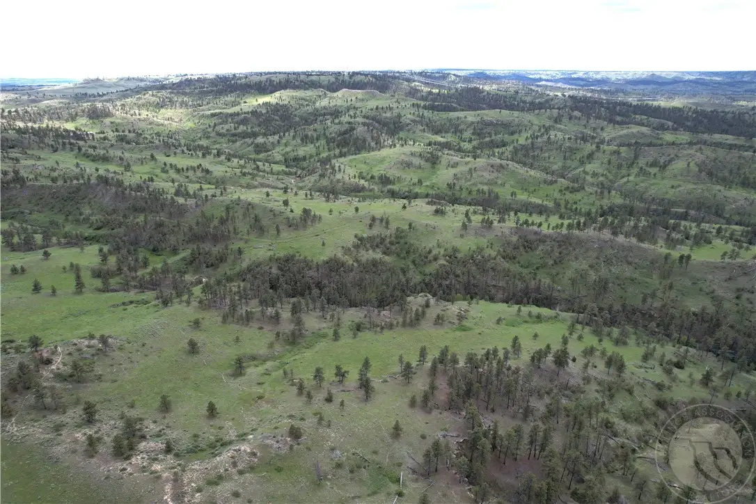 TBD County Rd 147a, Custer, MT 59024 - #1