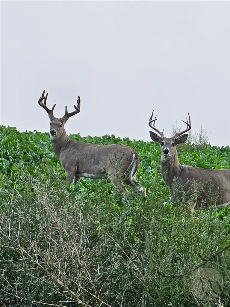 TBD County Rd 147a, Custer, MT 59024 - #3
