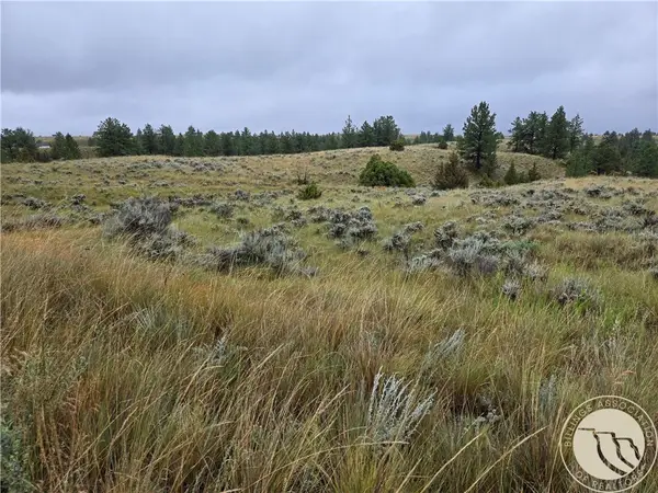 Parcel 16 Mountain View Road, Molt, MT 59057