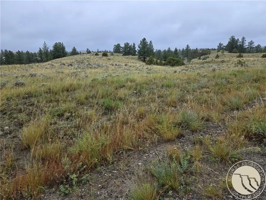 Parcel 16 Mountain View Road, Molt, MT 59057 - #2
