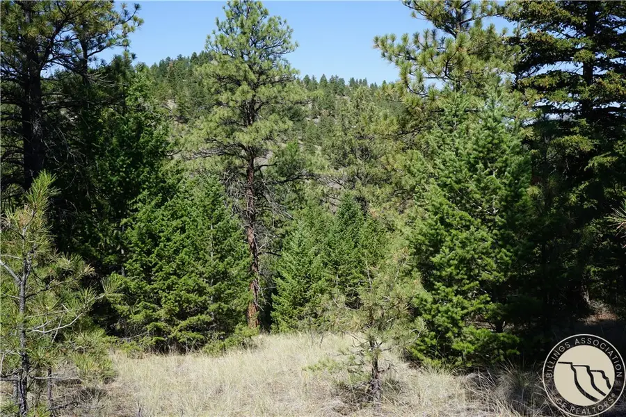 TBD Ridge Crest Lane, Other, MT 59421 - #2