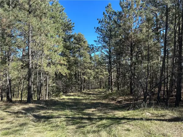 TBD Smith Ct, Roundup, MT 59072