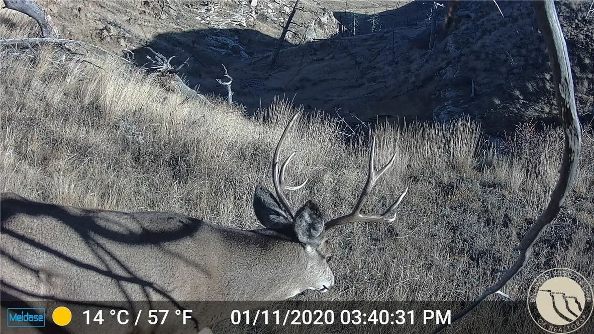 NHN Lookout Point, Shawmut, MT 59078 - #1