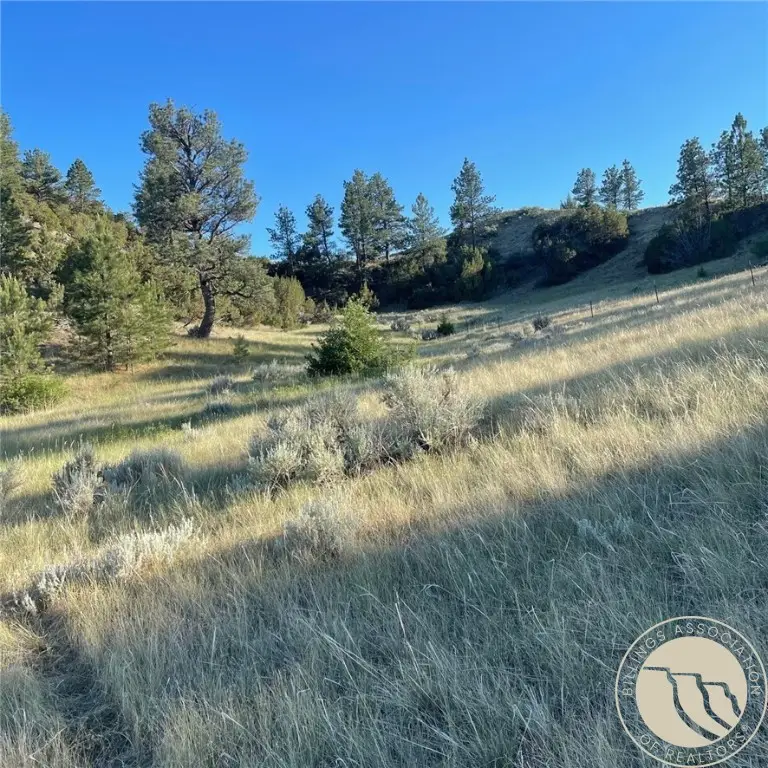TBD Gribben Road, Huntley Project, MT 59634 - #1