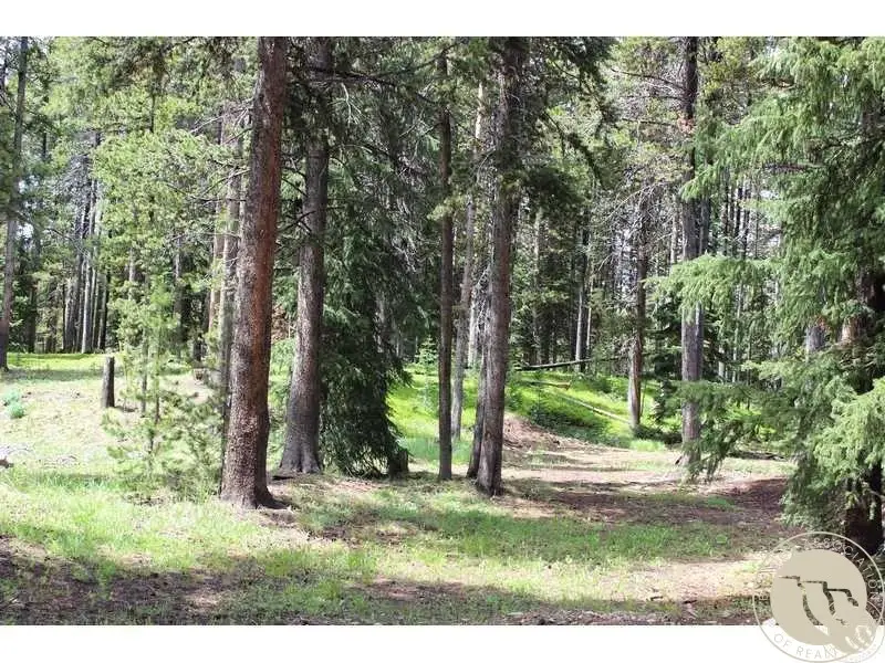 3 Cooke Pass Ln, Cooke City, MT 59020 - #3