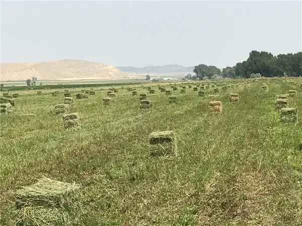 TBD Hergenrider Road, Bridger, MT 59014