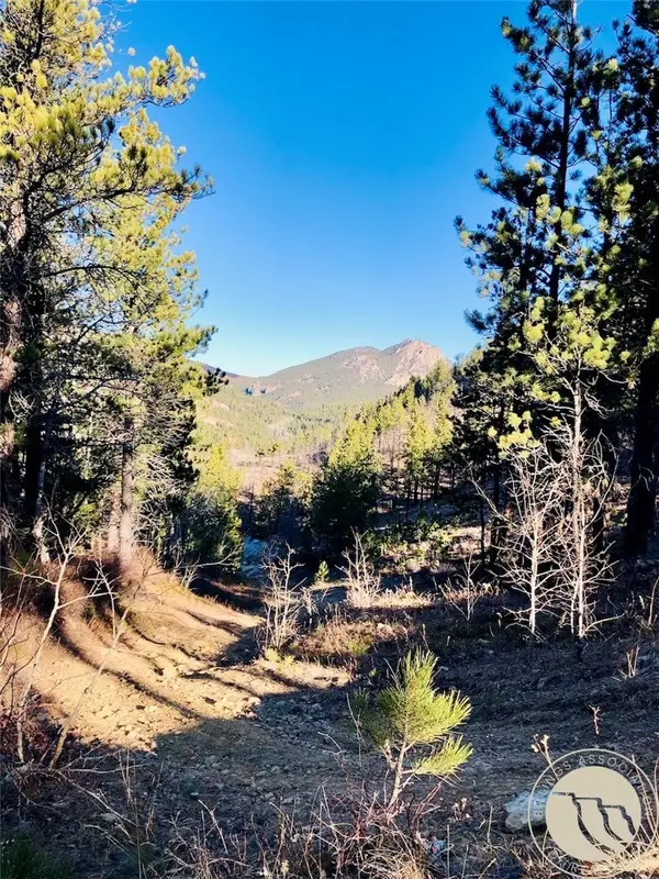 NHN Pony Gulch, Other, MT 59546
