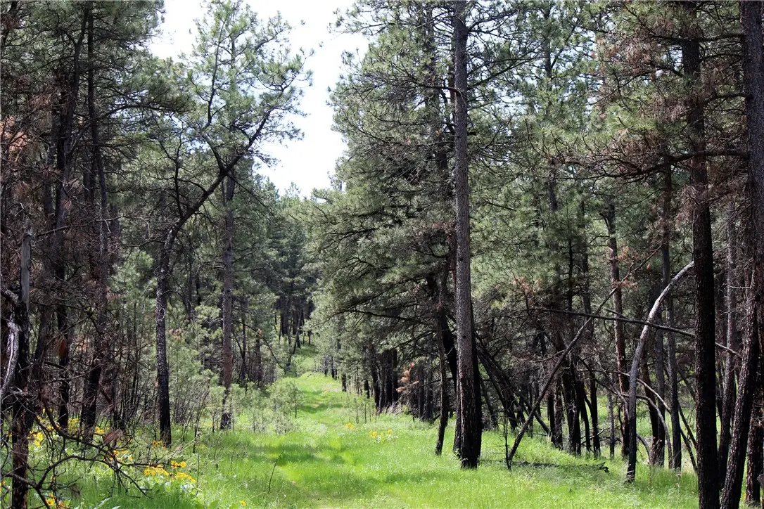 nhn Deer Lane, Roundup, MT 59072 - #1
