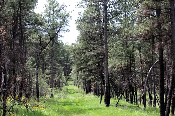nhn Deer Lane, Roundup, MT 59072