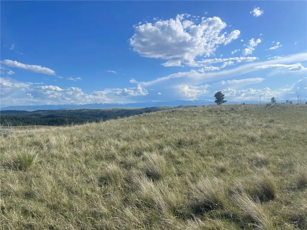 00 Divide Road, Columbus, MT 59019 - #1