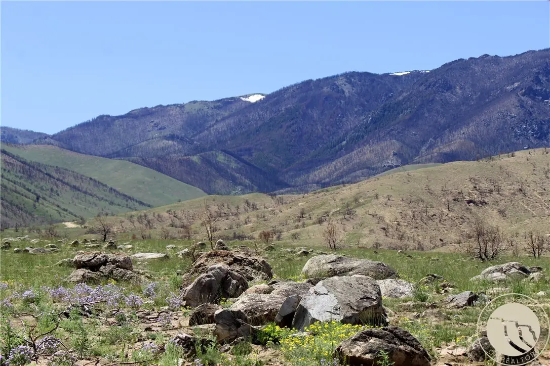 000 Tbd, Belfry, MT 59008 - #1
